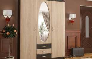סקירה כללית של רהיטי MDF, תכונות ומאפייני התפעול של החומר